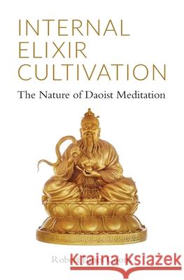 Internal Elixir Meditation: The Nature of Daoist Meditation Robert James Coons 9781943155132 Tambuli Media - książka