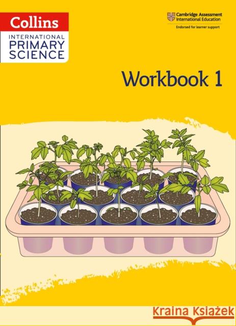 International Primary Science Workbook: Stage 1  9780008368937 HarperCollins Publishers - książka