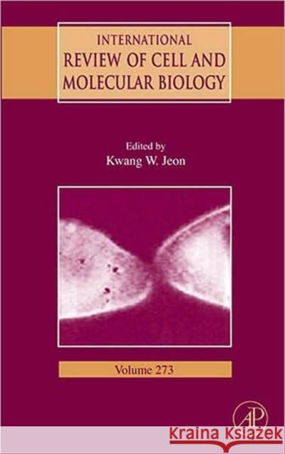 International Review of Cell and Molecular Biology: Volume 273 Jeon, Kwang W. 9780123748041 Academic Press - książka
