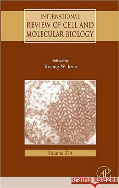 International Review of Cell and Molecular Biology: Volume 274 Jeon, Kwang W. 9780123748058 Academic Press - książka