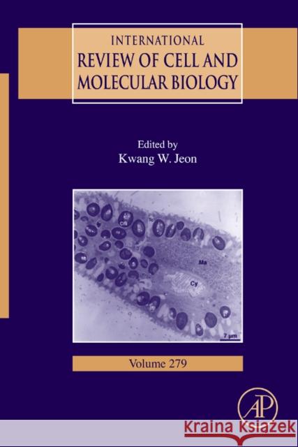 International Review of Cell and Molecular Biology: Volume 279 Jeon, Kwang W. 9780123810113 Academic Press - książka