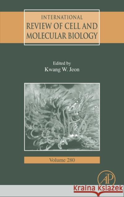 International Review of Cell and Molecular Biology: Volume 280 Jeon, Kwang W. 9780123812605 Academic Press - książka