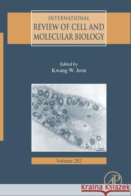 International Review of Cell and Molecular Biology: Volume 282 Jeon, Kwang W. 9780123812568 Academic Press - książka