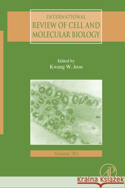 International Review of Cell and Molecular Biology: Volume 283 Jeon, Kwang W. 9780123812544 Academic Press - książka