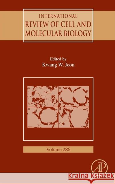 International Review of Cell and Molecular Biology: Volume 286 Jeon, Kwang W. 9780123858597 Academic Press - książka