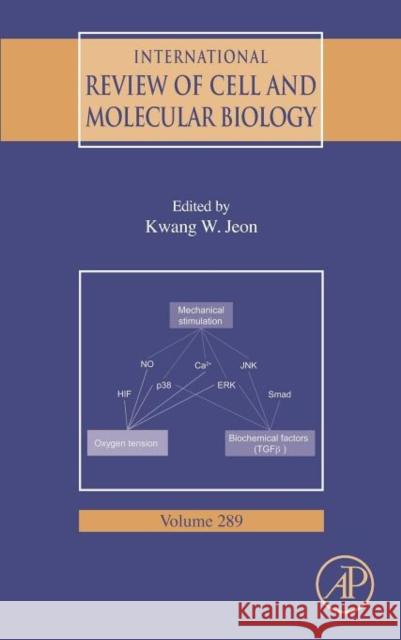 International Review of Cell and Molecular Biology: Volume 289 Jeon, Kwang W. 9780123860392 Academic Press - książka