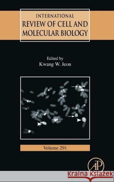 International Review of Cell and Molecular Biology: Volume 291 Jeon, Kwang W. 9780123860354  - książka