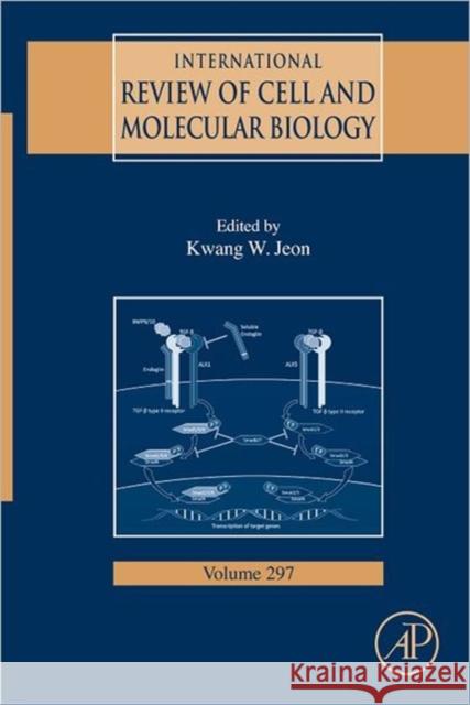 International Review of Cell and Molecular Biology: Volume 297 Jeon, Kwang W. 9780123943088  - książka