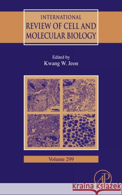 International Review of Cell and Molecular Biology: Volume 299 Jeon, Kwang W. 9780123943101 ACADEMIC PRESS - książka