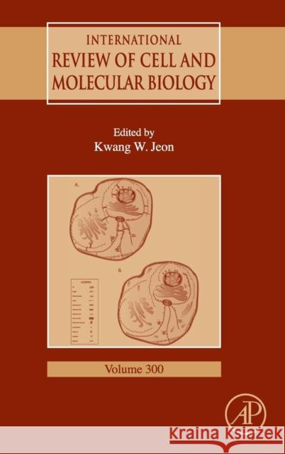 International Review of Cell and Molecular Biology: Volume 300 Jeon, Kwang W. 9780124052109  - książka