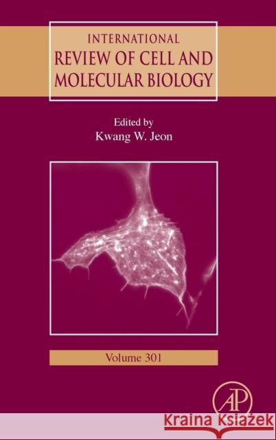 International Review of Cell and Molecular Biology: Volume 301 Jeon, Kwang W. 9780124077041  - książka