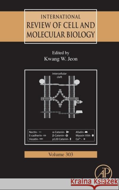 International Review of Cell and Molecular Biology: Volume 303 Jeon, Kwang W. 9780124076976  - książka