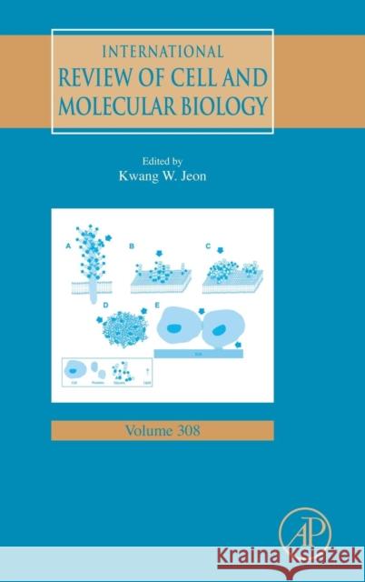 International Review of Cell and Molecular Biology: Volume 308 Jeon, Kwang W. 9780128000977 Academic Press - książka