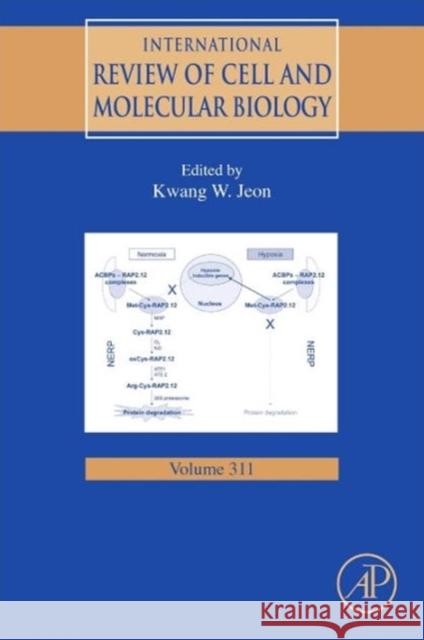 International Review of Cell and Molecular Biology: Volume 311 Jeon, Kwang W. 9780128001790 Elsevier Science - książka