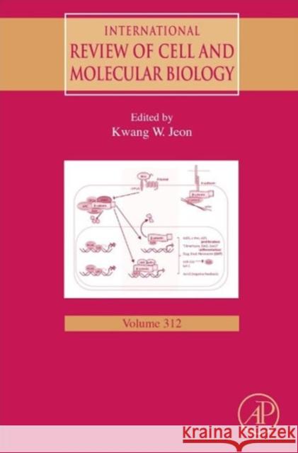 International Review of Cell and Molecular Biology: Volume 312 Jeon, Kwang W. 9780128001783 Academic Press - książka