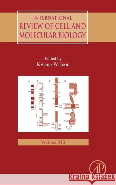 International Review of Cell and Molecular Biology: Volume 313 Jeon, Kwang W. 9780128001776 Academic Press - książka