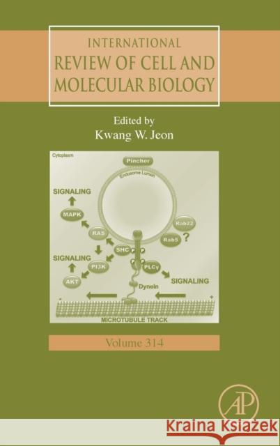 International Review of Cell and Molecular Biology: Volume 314 Jeon, Kwang W. 9780128022832 Academic Press - książka