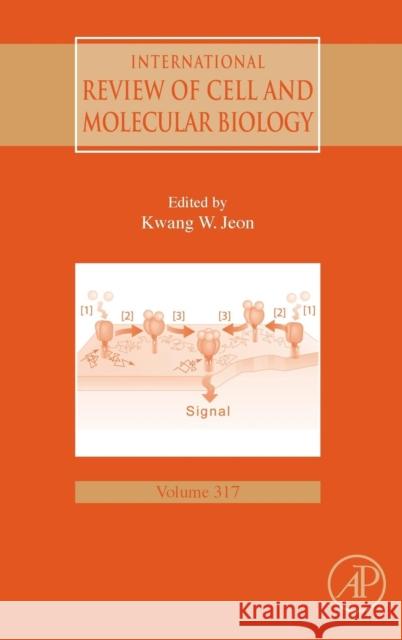 International Review of Cell and Molecular Biology: Volume 317 Jeon, Kwang W. 9780128022801 Elsevier Science - książka