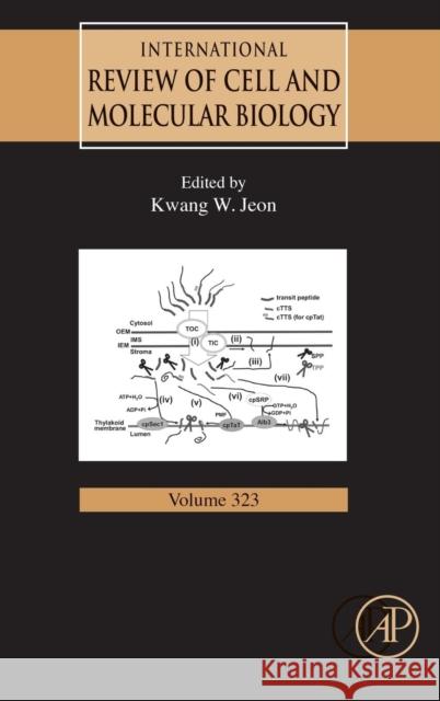 International Review of Cell and Molecular Biology: Volume 323 Jeon, Kwang W. 9780128048085 Elsevier Science - książka