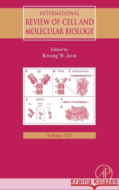 International Review of Cell and Molecular Biology: Volume 325 Jeon, Kwang W. 9780128048061 Academic Press - książka