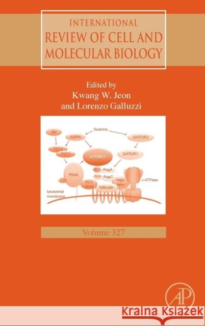 International Review of Cell and Molecular Biology: Volume 327 Jeon, Kwang W. 9780128048047 Academic Press - książka