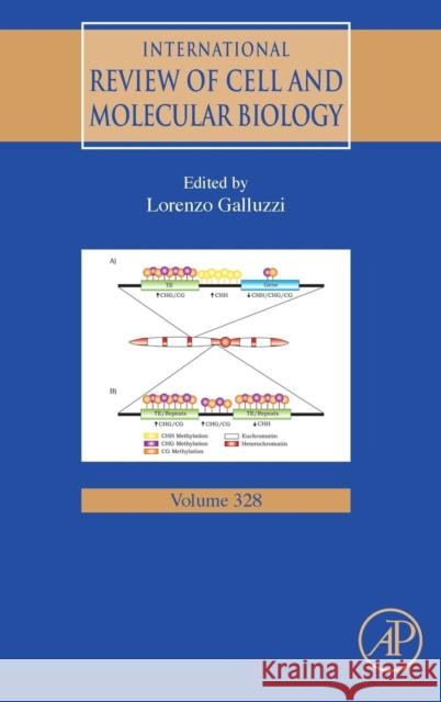 International Review of Cell and Molecular Biology: Volume 328 Galluzzi, Lorenzo 9780128122204 Academic Press - książka