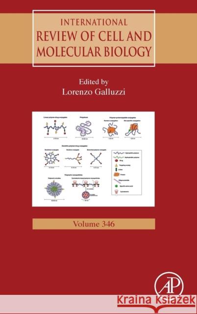 International Review of Cell and Molecular Biology: Volume 346 Galluzzi, Lorenzo 9780128177242 Academic Press - książka