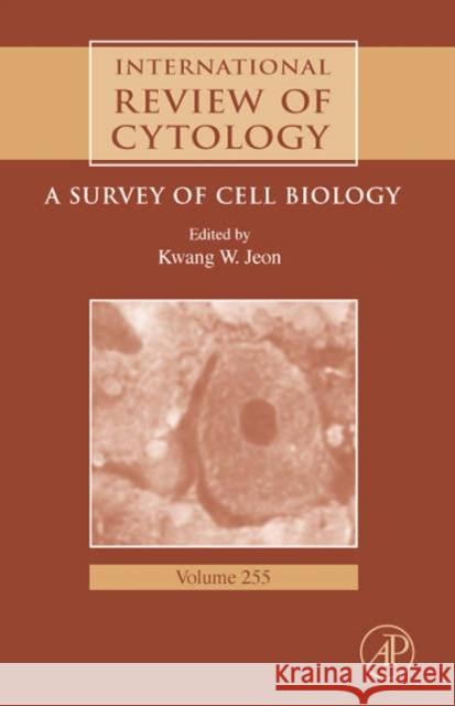 International Review of Cytology: A Survey of Cell Biology Volume 255 Jeon, Kwang W. 9780123735997 Academic Press - książka