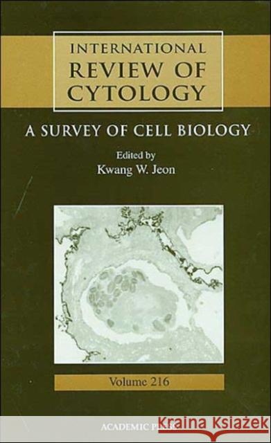 International Review of Cytology: Volume 216 Jeon, Kwang W. 9780123646200 Academic Press - książka