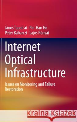 Internet Optical Infrastructure: Issues on Monitoring and Failure Restoration Tapolcai, János 9781461477372 Springer - książka