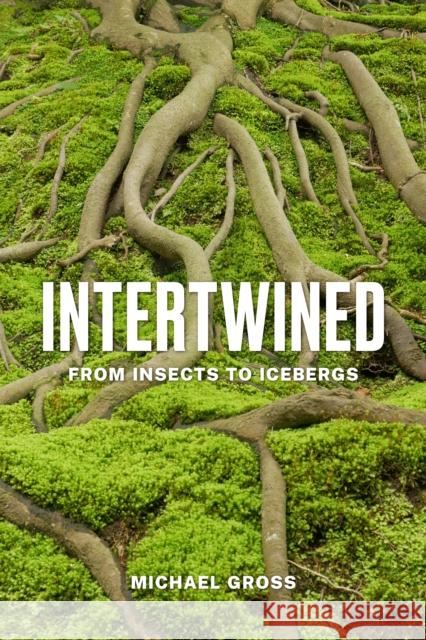 Intertwined: From Insects to Icebergs Michael Gross 9781421449975 Johns Hopkins University Press - książka