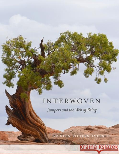 Interwoven: Junipers and the Web of Being Kristen Rogers-Iversen 9781607815914 University of Utah Press - książka
