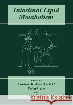 Intestinal Lipid Metabolism Charles M. Mansbach Arnis Kuksis Patrick Tso 9780306462412 Kluwer Academic Publishers - książka