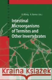 Intestinal Microorganisms of Termites and Other Invertebrates Helmut Konig 9783642066382 Not Avail - książka