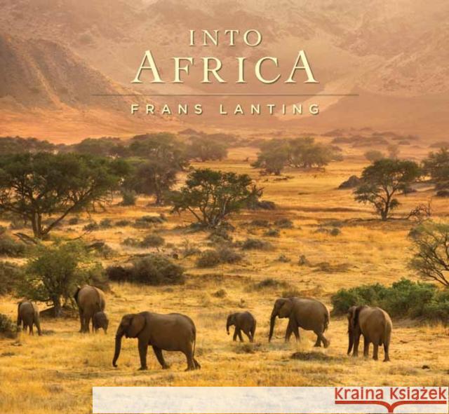 Into Africa Frans Lanting Chris Eckstrom Frans Lanting 9781608878895 Earth Aware Editions - książka