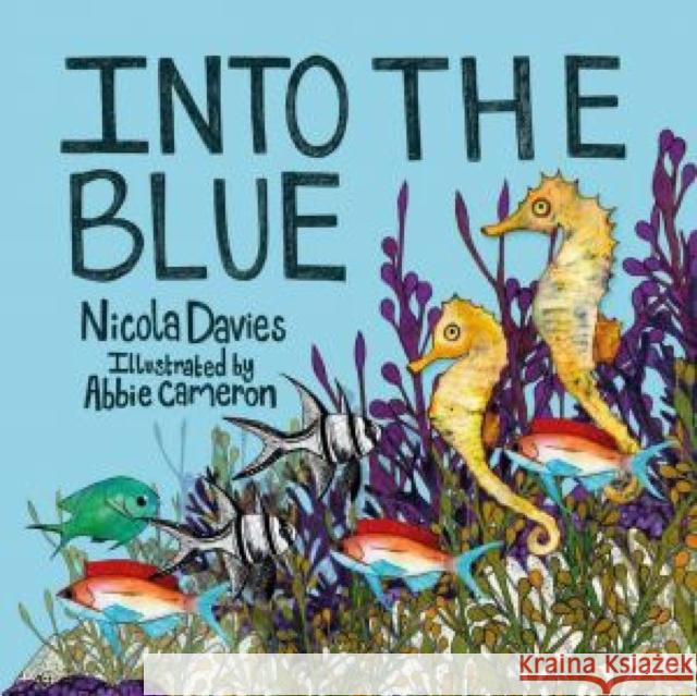 Into the Blue Nicola Davies 9781802584035 Graffeg Limited - książka