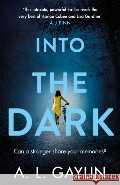 Into The Dark A.L. Gaylin   9781409199229 Orion (an Imprint of The Orion Publishing Gro - książka