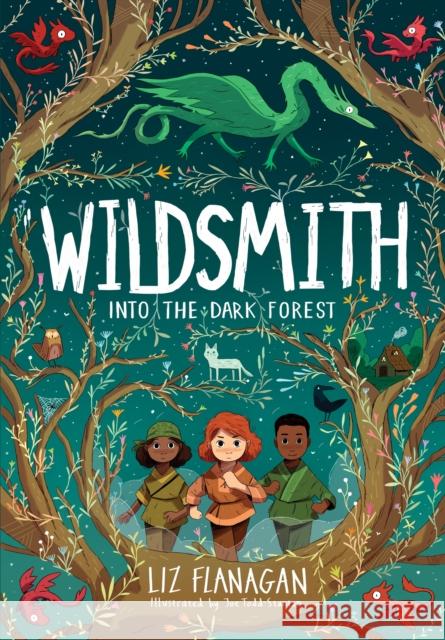 Into the Dark Forest: The Wildsmith #1 Liz Flanagan 9781915235046 UCLan Publishing - książka