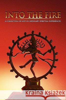 Into the Fire Shirley Brinks 9781441520395 Xlibris Corporation - książka