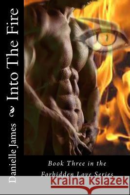 Into The Fire James, Danielle 9781484882528 Createspace - książka