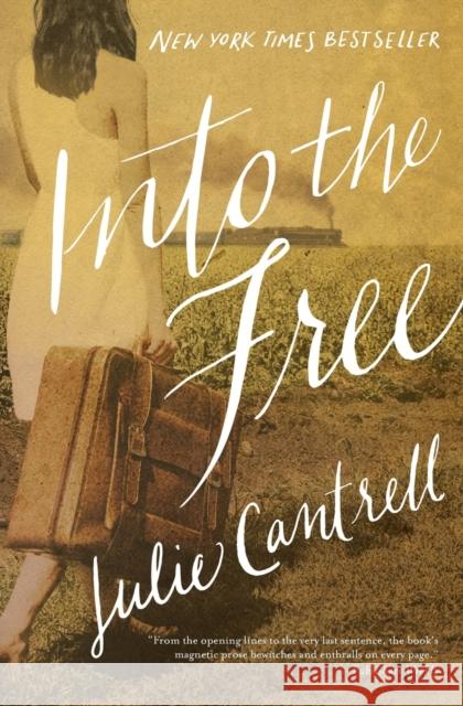 Into the Free Julie Cantrell 9780718081256 Thomas Nelson - książka