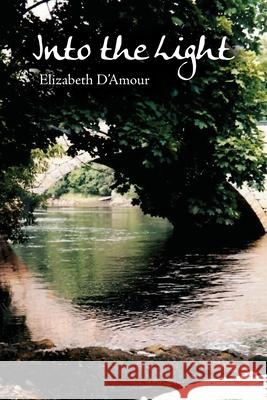 Into the Light Elizabeth D'Amour 9781636610443 Rosedog Books - książka