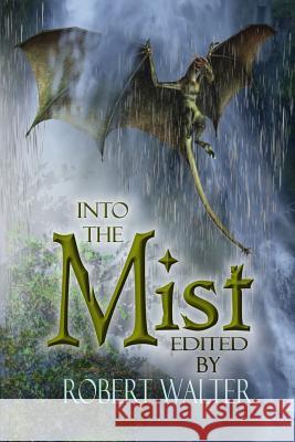 Into the Mist Brian Woods Druscilla Morgan Roy C. Booth 9781523281190 Createspace Independent Publishing Platform - książka