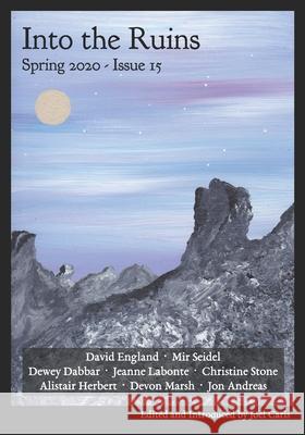 Into the Ruins: Spring 2020 (Issue 15) Mir Seidel Devon Marsh Alistair Herbert 9781950213023 Figuration Press - książka
