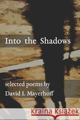 Into the Shadows David I. Mayerhoff 9781077983212 Independently Published - książka