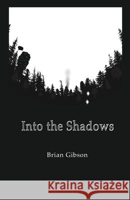 Into the Shadows Brian Gibson 9781731467904 Independently Published - książka