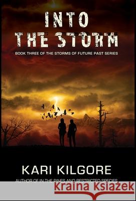 Into the Storm Kari Kilgore 9781948890182 Spiral Publishing, Ltd. - książka
