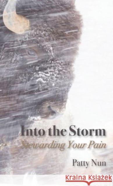 Into The Storm: Stewarding Your Pain Patty Nun 9781684880041 Clay Bridges Press - książka