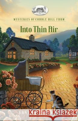 Into Thin Air Sandra Orchard 9781961251441 Guideposts - książka