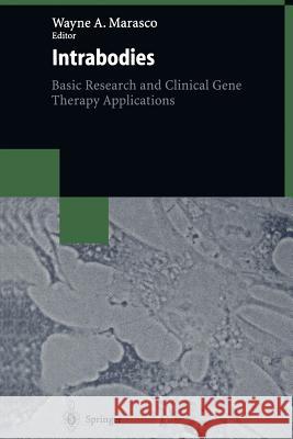 Intrabodies: Basic Research and Clinical Gene Therapy Applications Marasco, Wayne A. 9783662121214 Springer - książka
